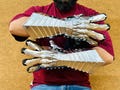 Medieval Nazgul Gauntlets | Witch King Costume | Ringwraith Gloves For Cosplay And Halloween Party Wear | Best Gift For Him