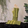 Green Adult Striped Fingerless Gloves