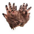 Vintage Werewolf Monster Hands Gloves Hairy Latex Halloween Costume Prop