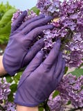 Elegant Purple Short Gloves - Lavender Mesh Fashion Gloves, Soft Sheer Evening Accessory, Moden Style Women's Gloves