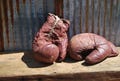 Antique Leather Boxing Gloves