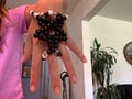 Kandi star glove